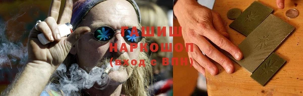 индика Горнозаводск