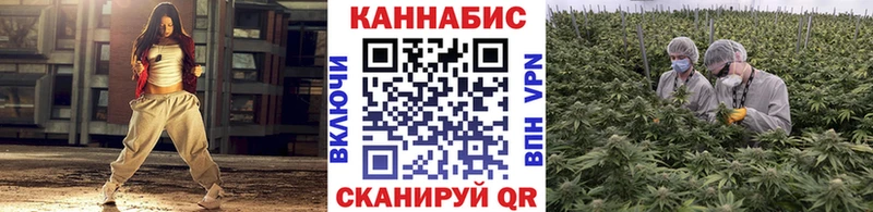 Бошки Шишки планчик  купить наркотики цена  Нелидово 